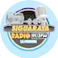 Logo Siguaraya Radio 91.3 FM