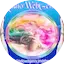 Logo RadioWebGenny