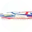 Logo Radio Tele Vihamo 102.3 Fm