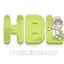 Logo Habblindados
