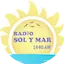 Logo Radio Solymar Vice