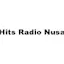 Logo Nova Hits Radio Nusantara