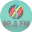 Logo Sighet FM 89.3