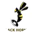 Logo Black Hornet Radio