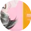 Logo Radio Birac
