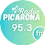 Logo Radio Picarona 95.3 FM