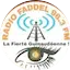 Logo Radio FADDEL 96.3