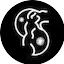 Logo Nuance Radio