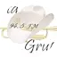 Logo Fiesta Grupera Tecamachalco