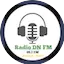 Logo Radio D N Fm