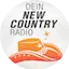 Logo Radio Neandertal - New Country