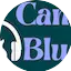 Logo Canal Blues