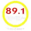 Logo Power 89.1 FM