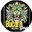 Logo Bucara Stéreo