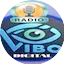 Logo Radio Vibo Fm