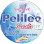 Logo Pelileo Radio Tv
