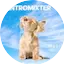 Logo Zentromixter Music Songs
