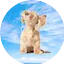 Logo La Bakana Retro