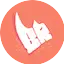 Logo Black Rinho Radio
