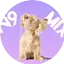 Logo ZEN9 Mixter