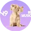 Logo ZEN9 Best Music Songs