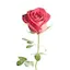 Logo True Love Radio Sneh