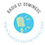 Logo RADIO ST DOMINEUC
