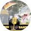 Logo Santiago De Anzaldo