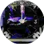 Logo Lite_fm