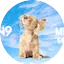 Logo ZEN9 Mixed Songs