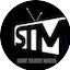 Logo Savetalent FM