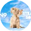 Logo ZEN9 Straight Songs