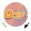 Logo Open Radio Usa