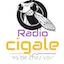 Logo radio-cigale