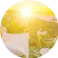 Logo Rayito de Sol