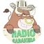 Logo Radio Sabanera