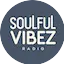 Logo Soulful Vibez Radio Station