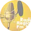 Logo Rádio Rede Sat Regional AM 880 - FM 105.9