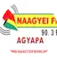 Logo Naagyei FM