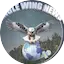 Eagle Wing Radio