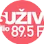 Logo Radio NSU