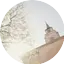 Logo GraceRadio