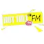Logo Hot 110.1 Fm Plus