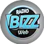 Logo Radio Bizz FM - Web