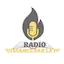 Logo Radio Tele Puissance par la foi