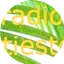 Logo radioartiesten