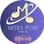 Logo Media Push Radio
