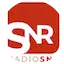 Logo SNR Horsens