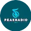Logo Peak Radio 90's