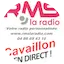 Logo RMS Cavaillon